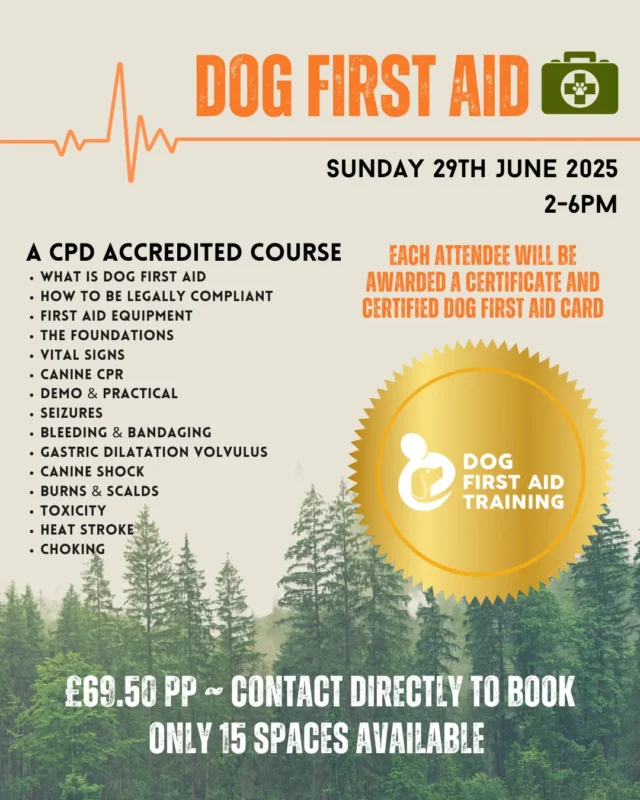 Dog First Aid 29th June
