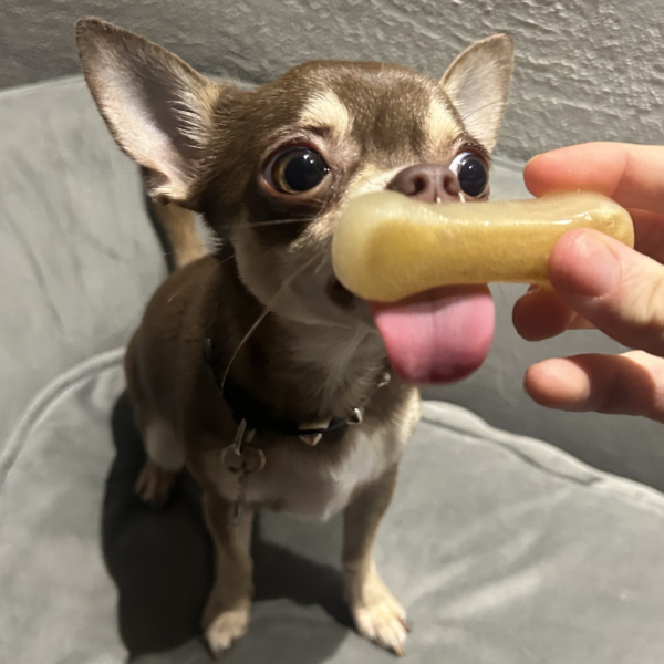 Axel's Elixir Dog Happy Bone Lollipop's - Image 5