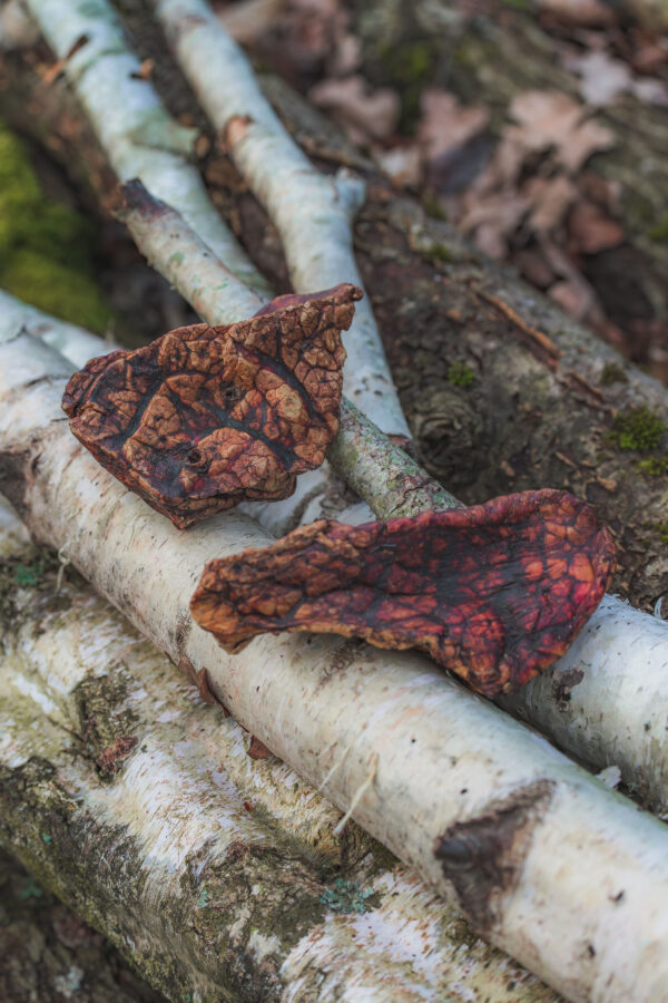 Beef Lung (Puffed Jerky)