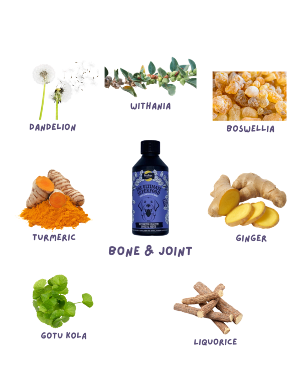 Proflax Bones & Joints - Image 2