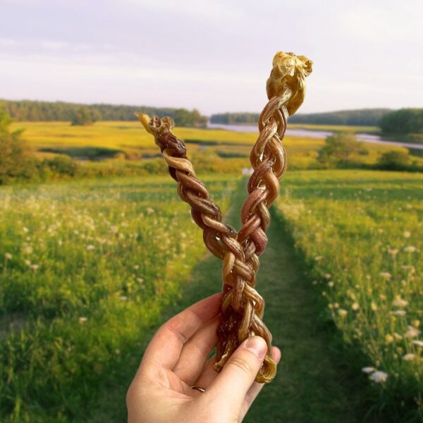 Braided Lamb Pizzle - Image 2