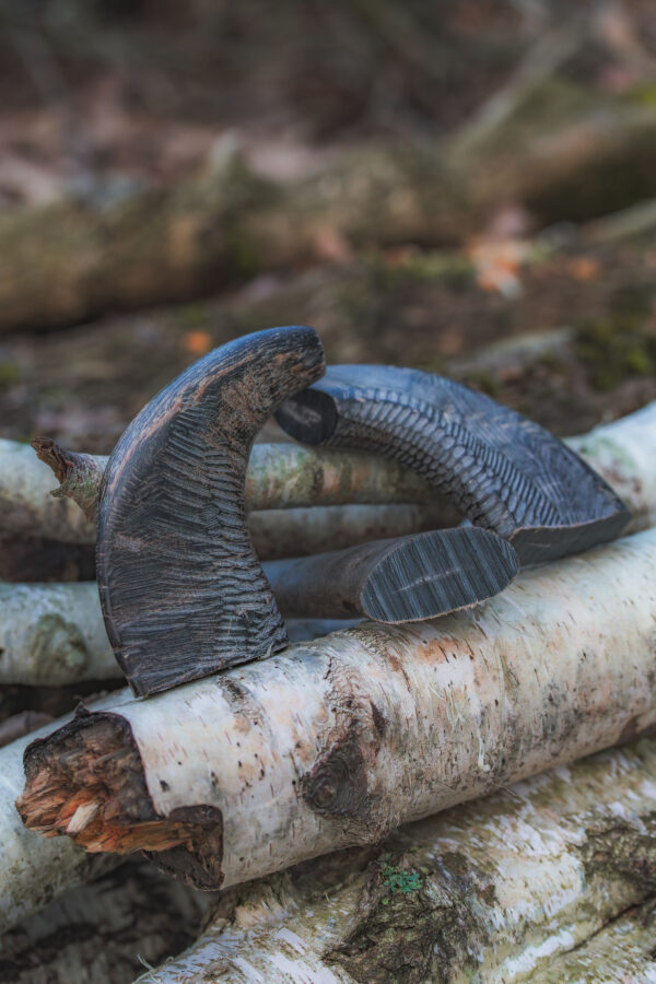Buffalo Horn
