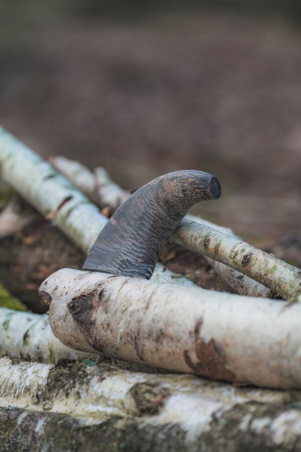 Buffalo Horn - Image 2