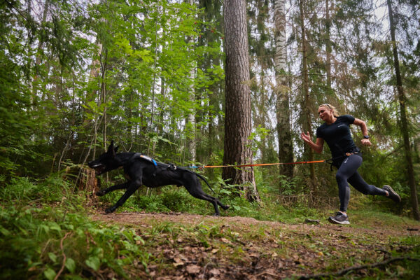 Non-Stop Bungee Leash - Image 4