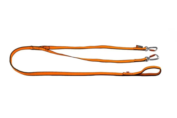 Non-Stop Bungee Leash Double