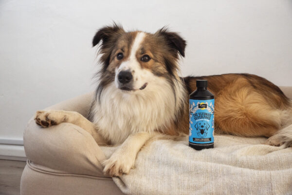 Proflax Calm & Collected - Image 3
