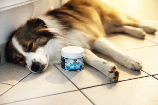 Proflax Calming Superchews - Image 4