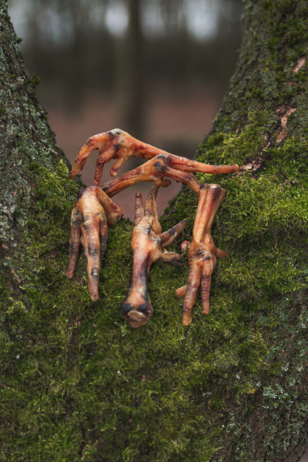 Chicken Feet