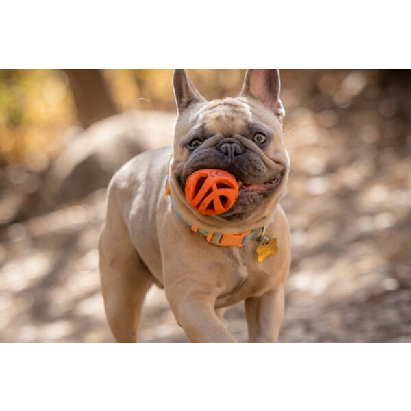 Chuckit! Air Fetch Ball - Image 4