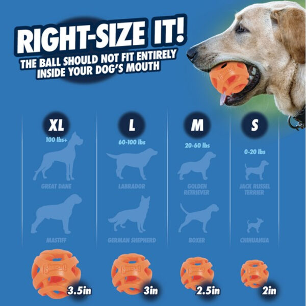 Chuckit! Air Fetch Ball - Image 3