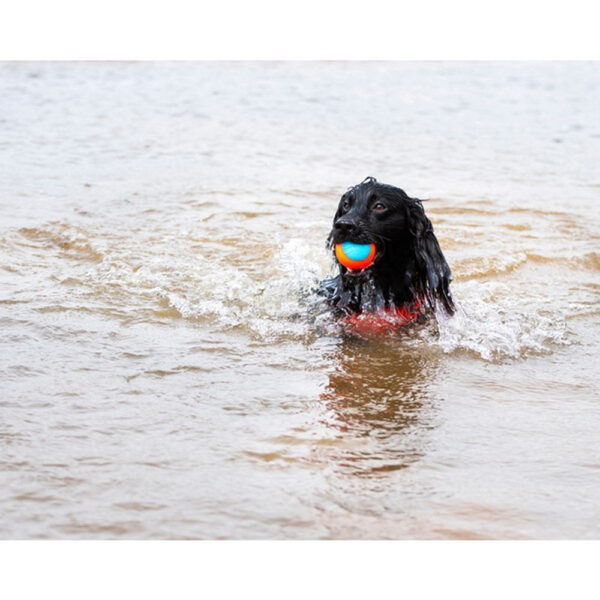 Chuckit! Amphibious Balls 3pk - Image 4