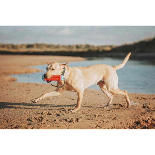 Chuckit! Amphibious Bumper - Image 3