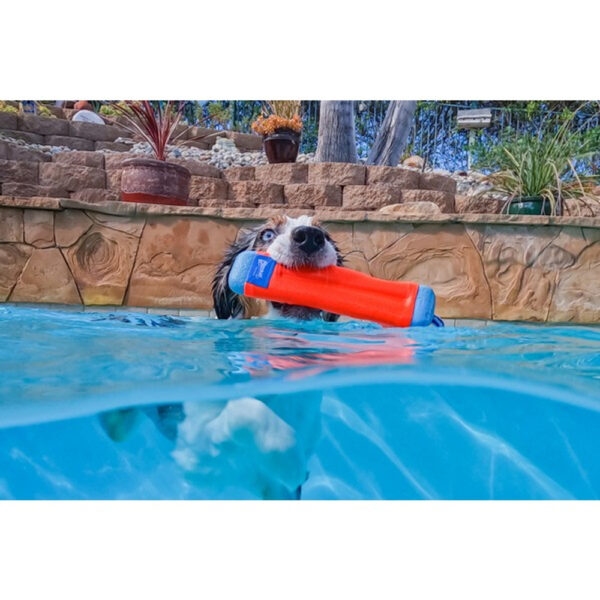Chuckit! Amphibious Bumper - Image 4
