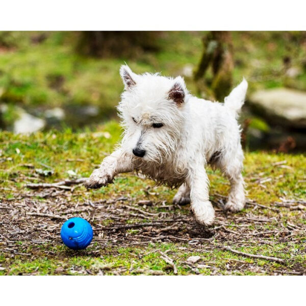 Chuckit! Crunch Ball - Image 4
