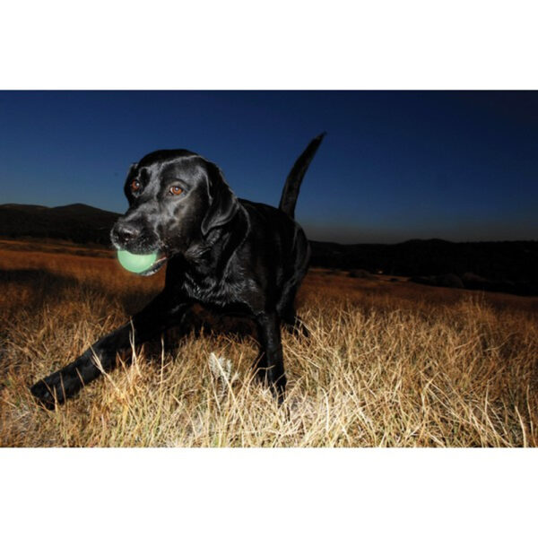 Chuckit! Max Glow - Image 4