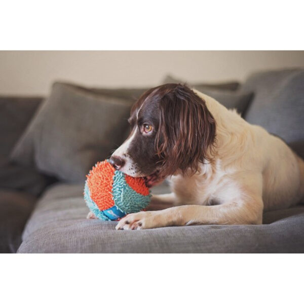 Chuckit! Indoor Ball - Image 3