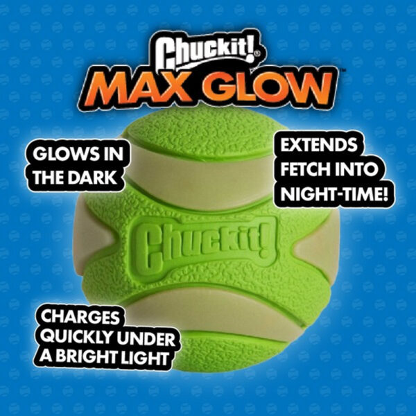 Chuckit! Glow Squeaker Ball - Image 3