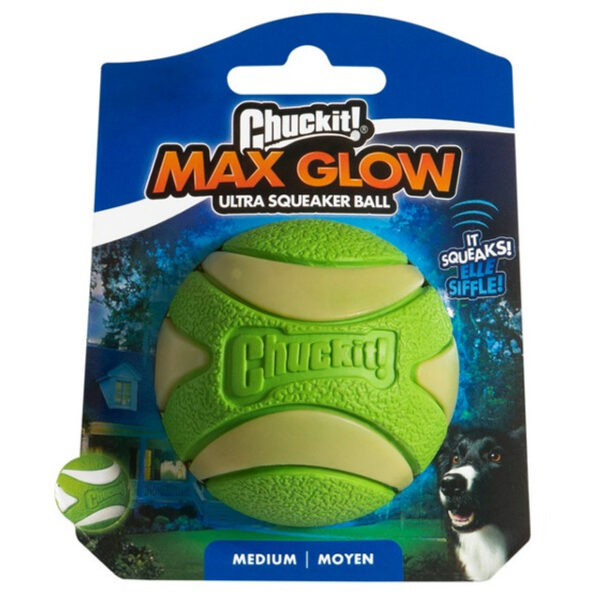 Chuckit! Glow Squeaker Ball