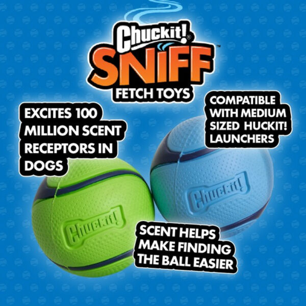 Chuckit! Sniff Fetch Ball