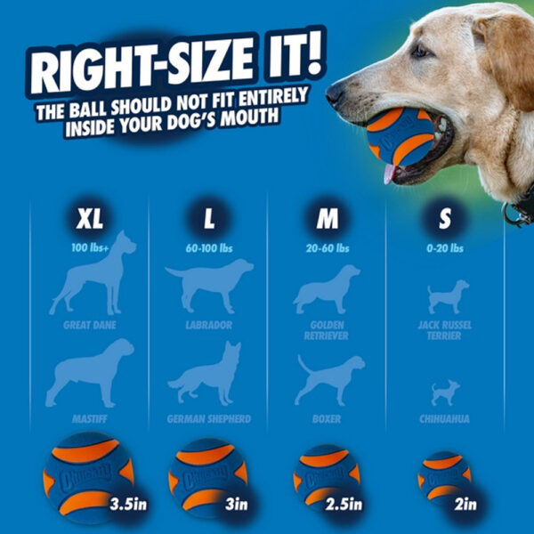 Chuckit! Squeaker Ball - Image 4