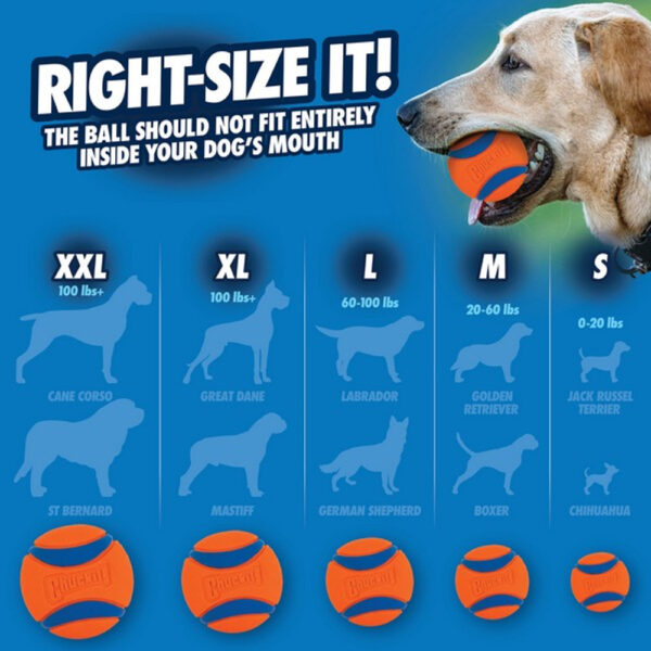 Chuckit! Tug Duo - Image 3