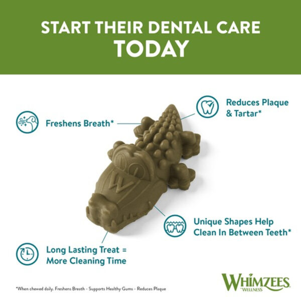 Dental Crocodile - Image 2