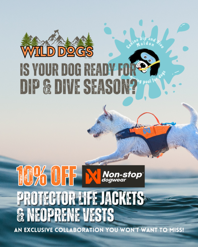 Dip & Dive Offer