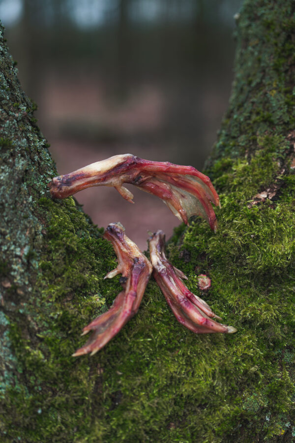 Duck Feet