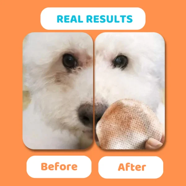 Our Dogs Life Eye Cleaning Wipes for Dogs - Image 2