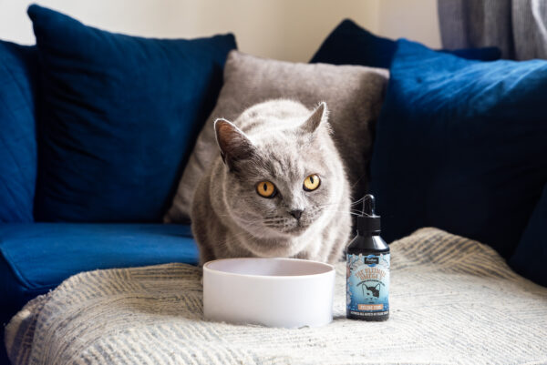 Proflax Feline Fine for Cats - Image 2