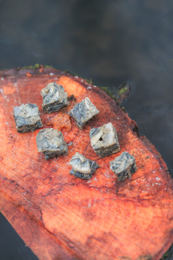 Fish Skin Cubes