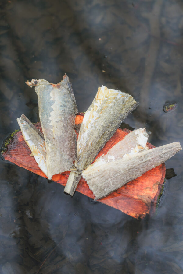 Fish Skin Flats