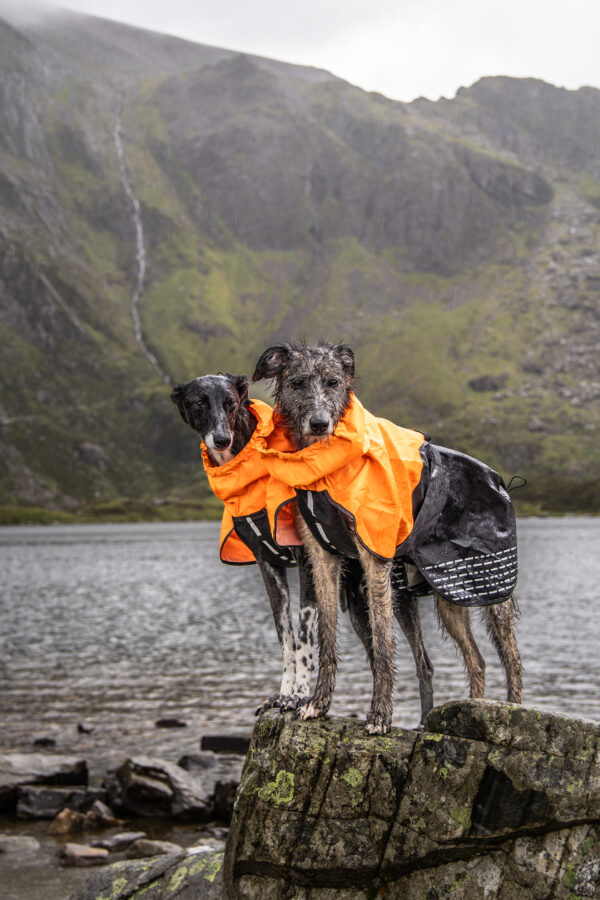 Non-Stop Fjord Raincoat - Image 11