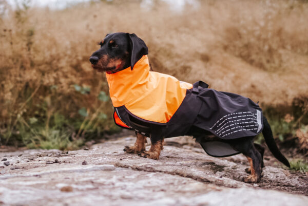 Non-Stop Fjord Raincoat - Image 9