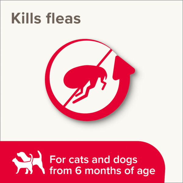 Beaphar Flea Spray - Image 2