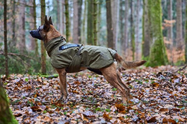 Non-Stop Glacier Jacket Working Dog - Image 8