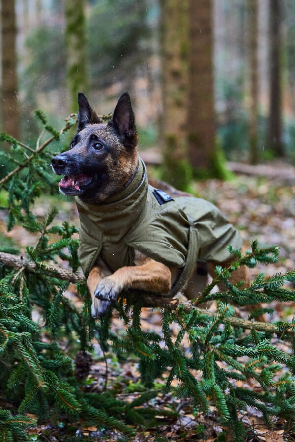 Non-Stop Glacier Jacket Working Dog - Image 9