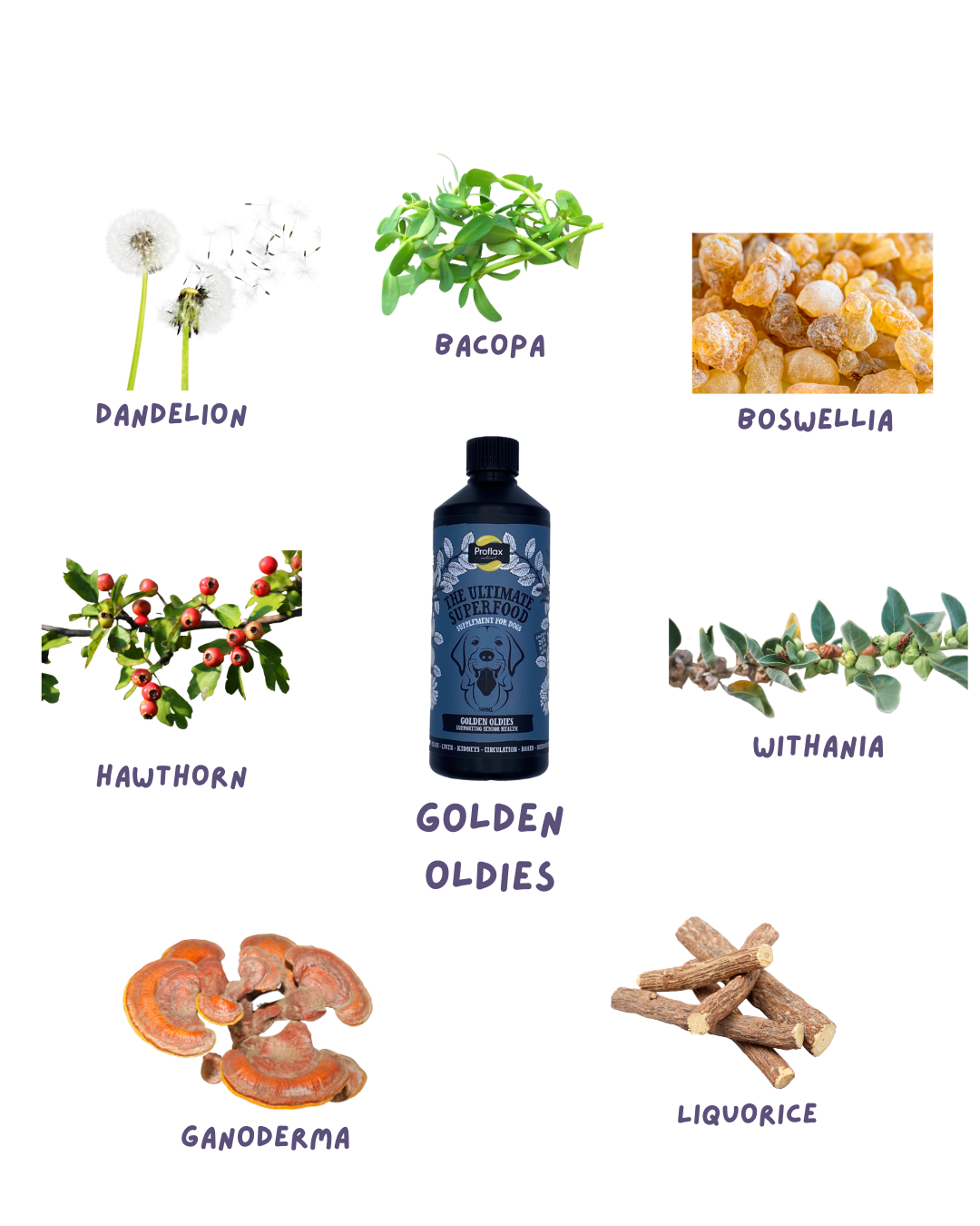 Proflax Golden Oldies - Image 2