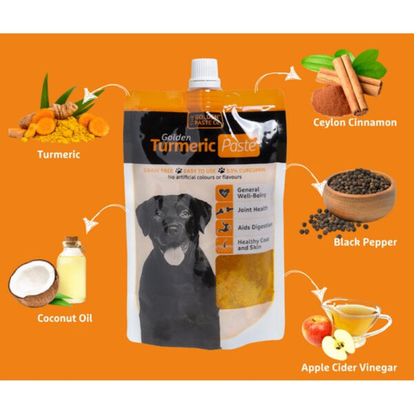 Golden Turmeric Paste - Image 2