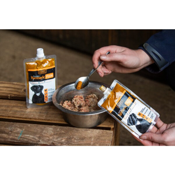 Golden Turmeric Paste - Image 4