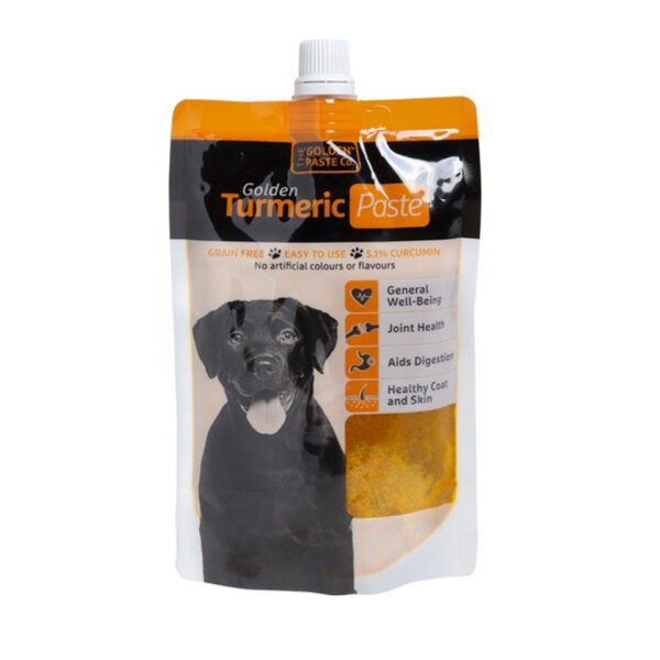 Golden Turmeric Paste