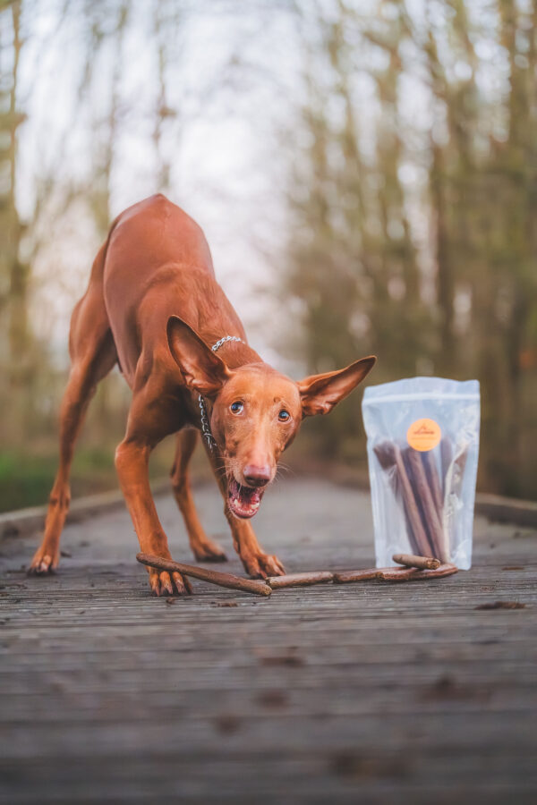 Gourmet Sticks - Image 2