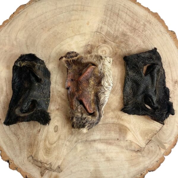 Hairy Beef Snout