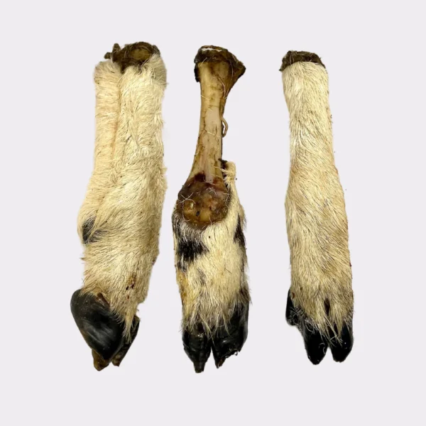 Hairy Lamb Feet