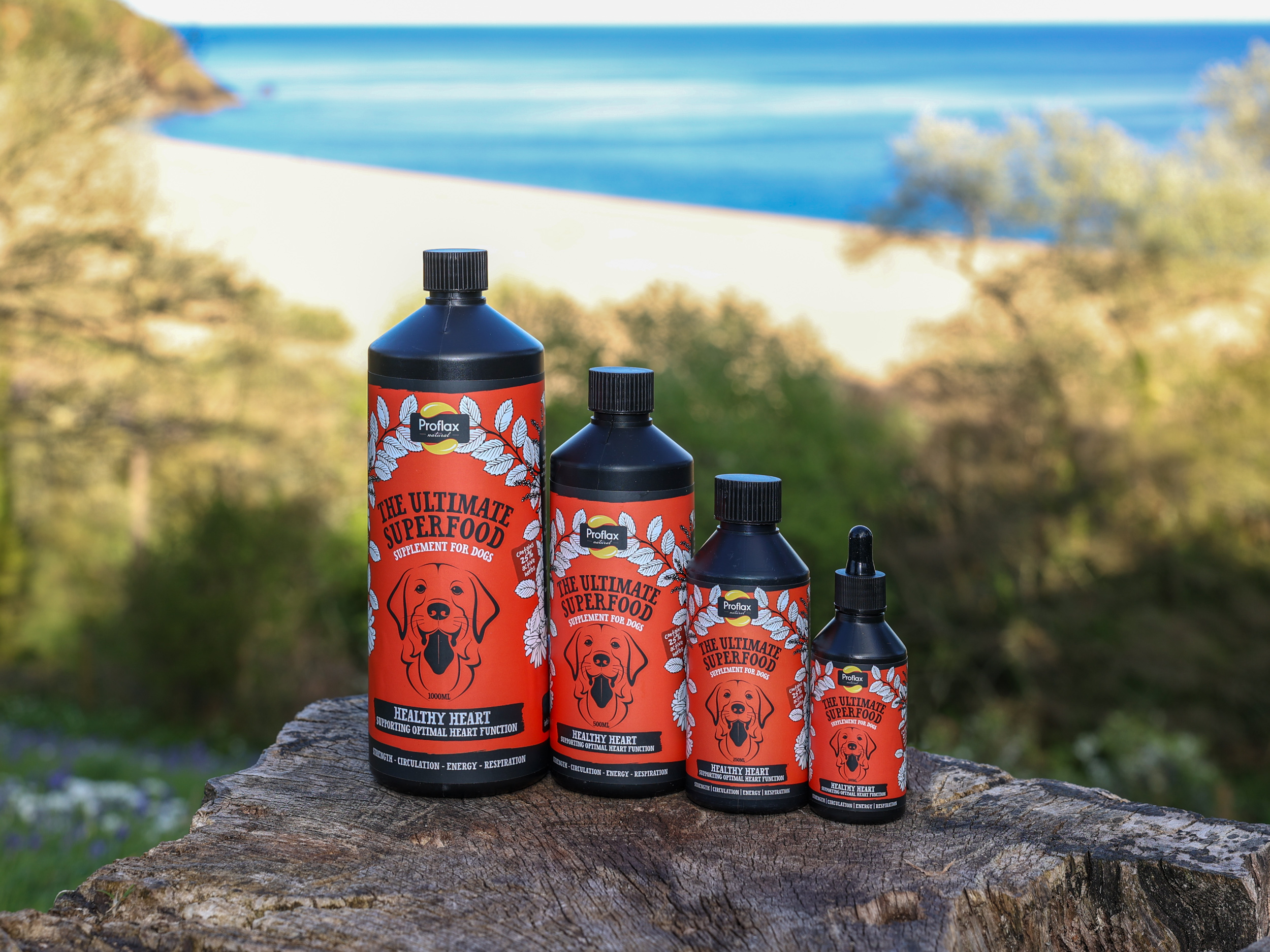 Proflax Healthy Heart