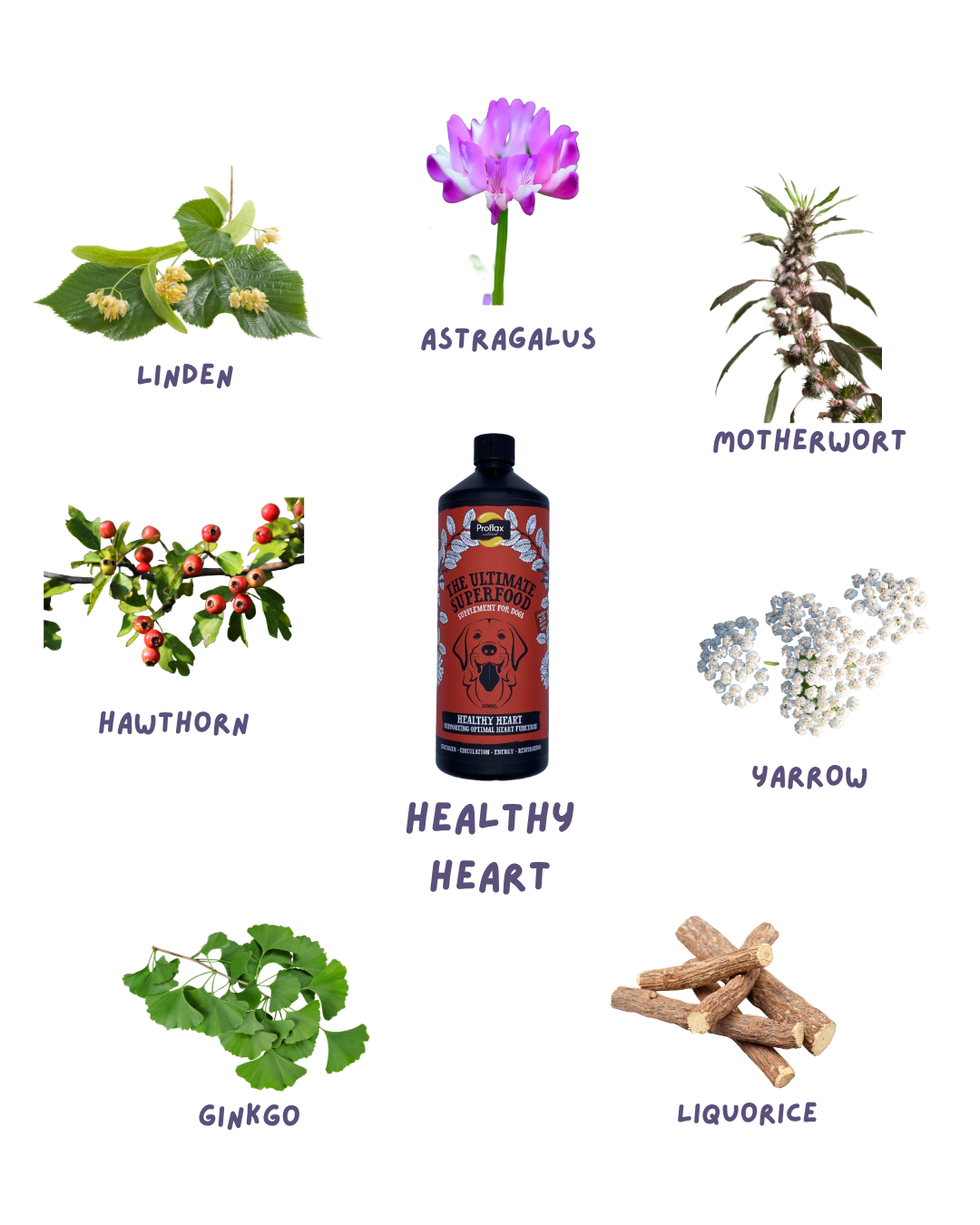 Proflax Healthy Heart - Image 3