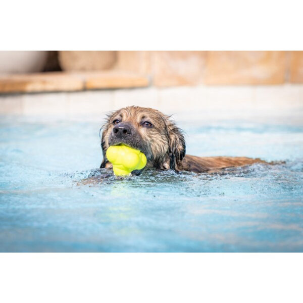 Hyper Pet EVA Bumpy Ball - Image 4