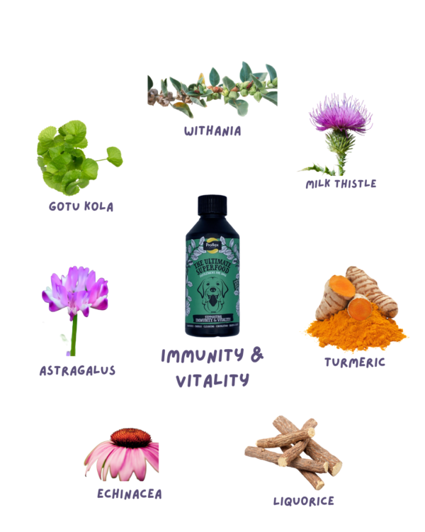 Proflax Immunity & Vitality - Image 2