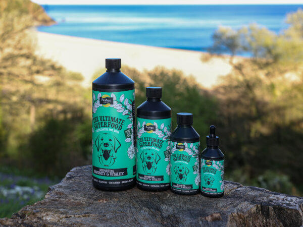 Proflax Immunity & Vitality