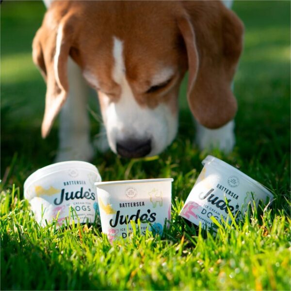 Judes Ice Cream For Dogs - Image 2